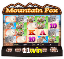 11win.com
